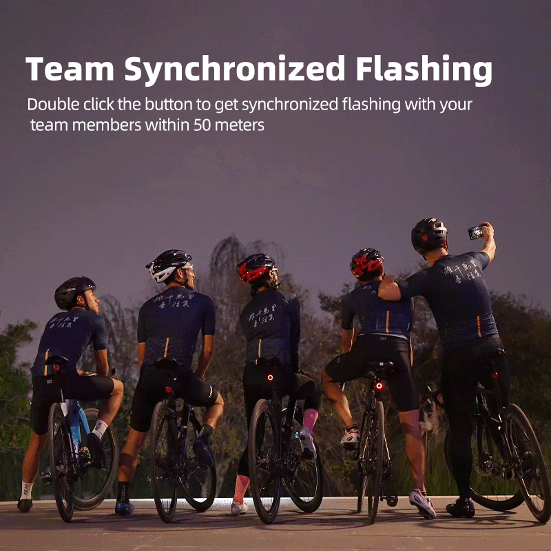 XOSS XR Pro Team Sync Tail Light Auto Brake Sensing Bicycle Rear Light LED Rechargeable Waterproof Cycling Taillight