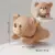 Lying Pose Bear