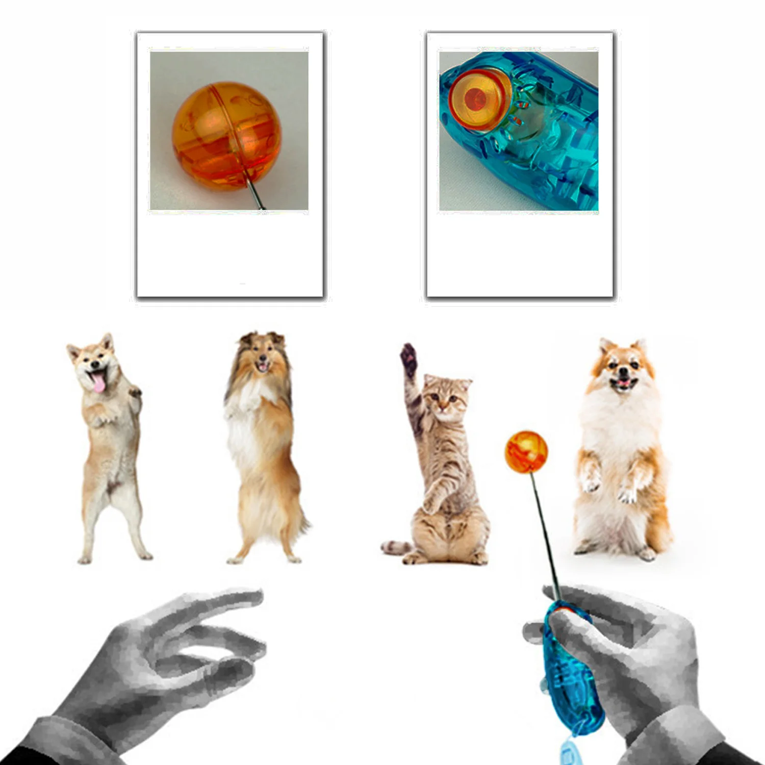 Behogar Novelty Stretchable Design Pet Dog Cat Training Clicker for Bird