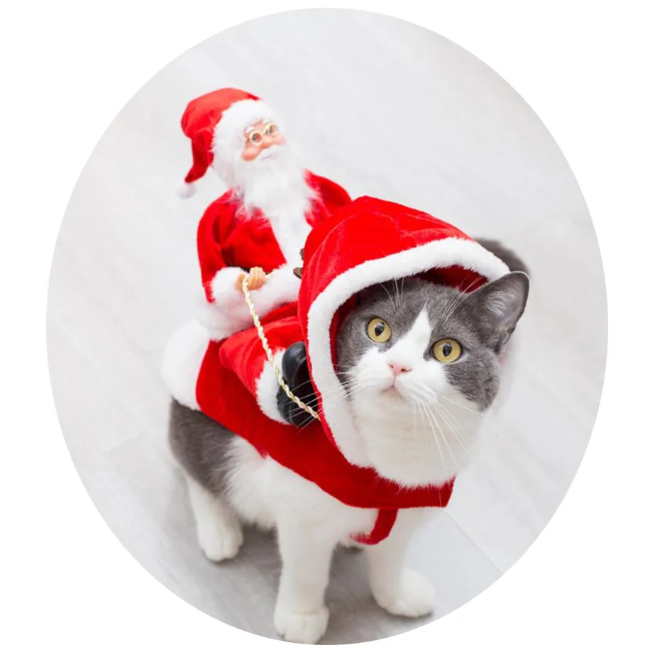 Déguisement de Noël pour Chien : Selle de Père Noël | Vêtements Canins de Luxe - 2025 - Vêtement et accessoires pour chiens - Doglovedesign