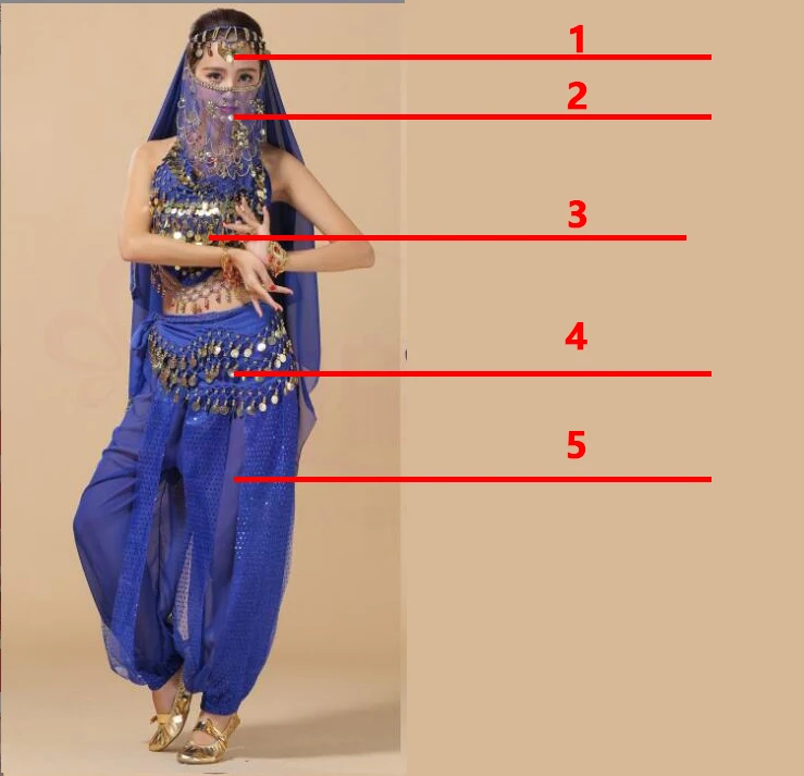 Costume de danse du ventre grande taille pour femmes, pantalon bollywood indien égyptien, robe de danse du ventre grande taille pour adultes