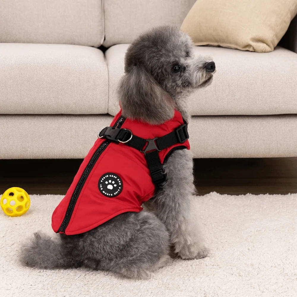 방수 조절 가능한 강아지 다운 옷 두꺼운 방풍 겨울 강아지 옷 하네스 포함 따뜻한 강아지 재킷 겨울용
