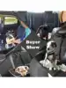 1pc Car Pet Dog Seat Leash, Pet Car Interior Leash, Dog Seat Belt Strap, Dog Seat Buckle, Dog Car Seat Accessories 4
