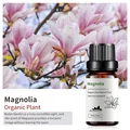 Mangnolia