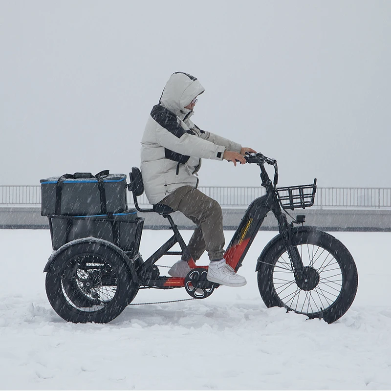 Fabbrica Shimano 2000W Triciclo Elettrico A Doppio Motore 40Ah Sensore Di Coppia E Trike Doppie Batterie Etricycle Per Adulti