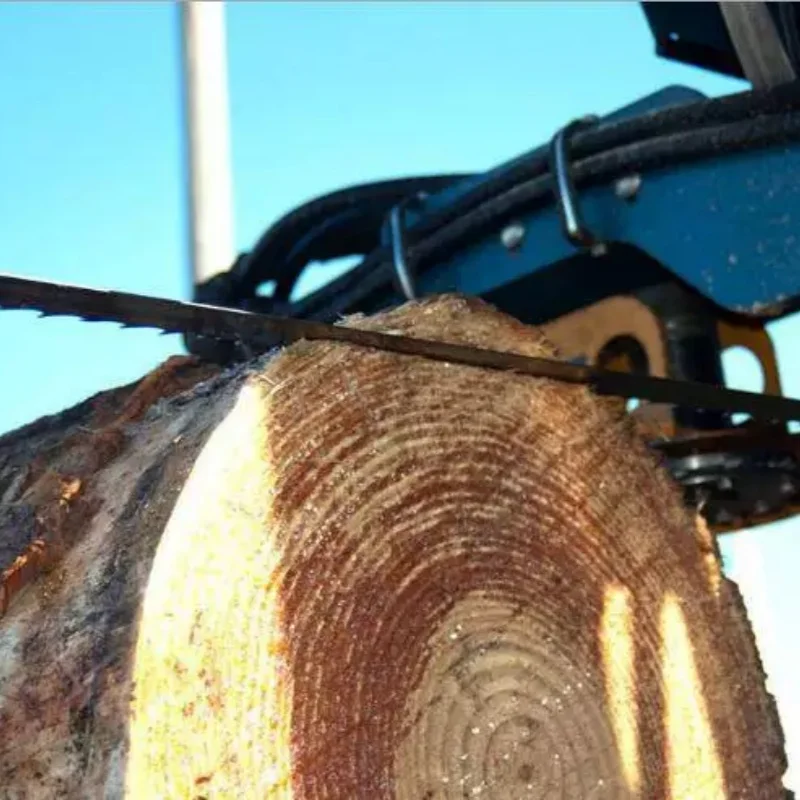 Precision Wood-Cutting Bandsaw Blades - Versatile Tooth Configurations, Multiple Lengths Available