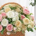 Shop5152019 Store