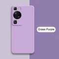 Grass Purple