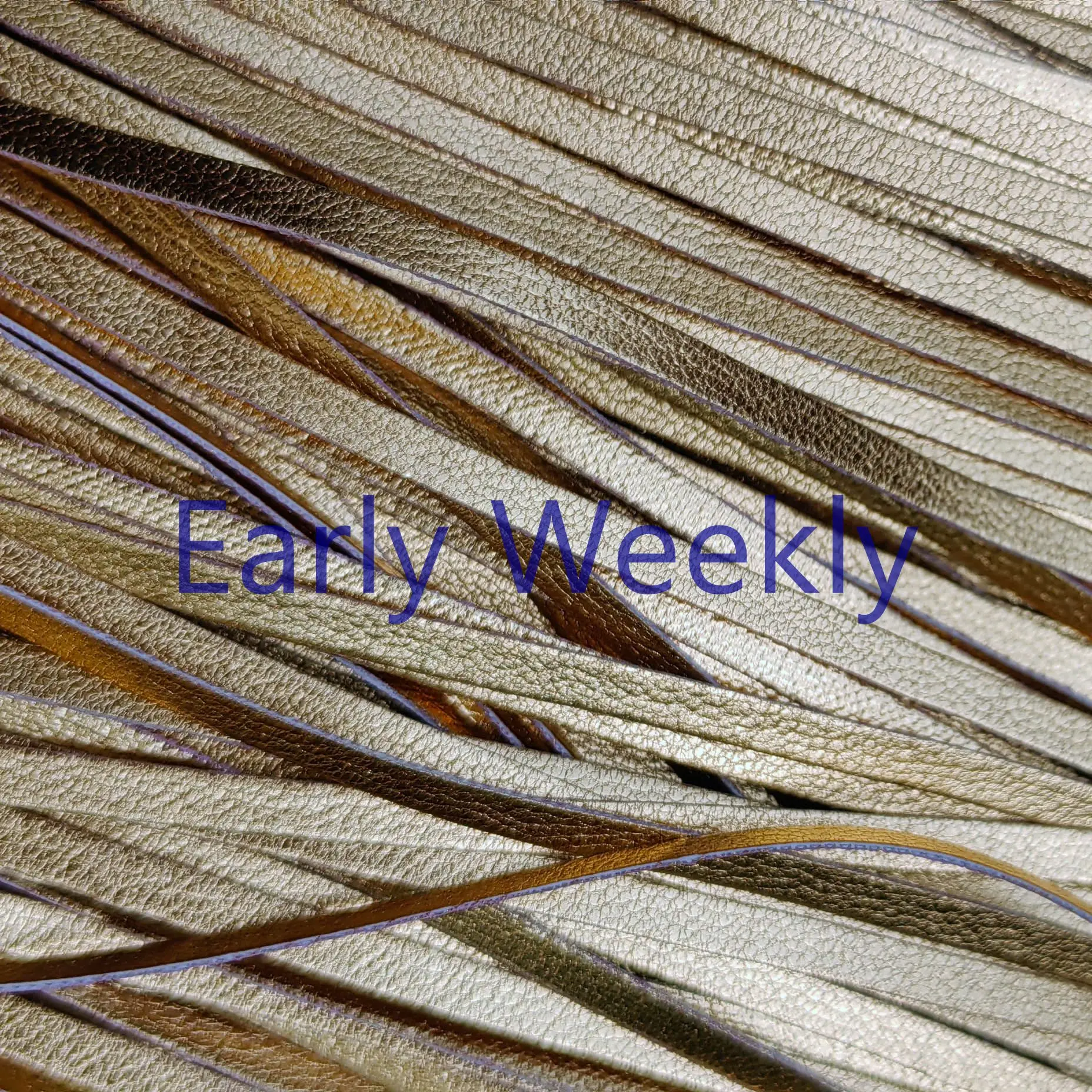 Slide image 4219cc1c5b7d41ac98acab246c991858