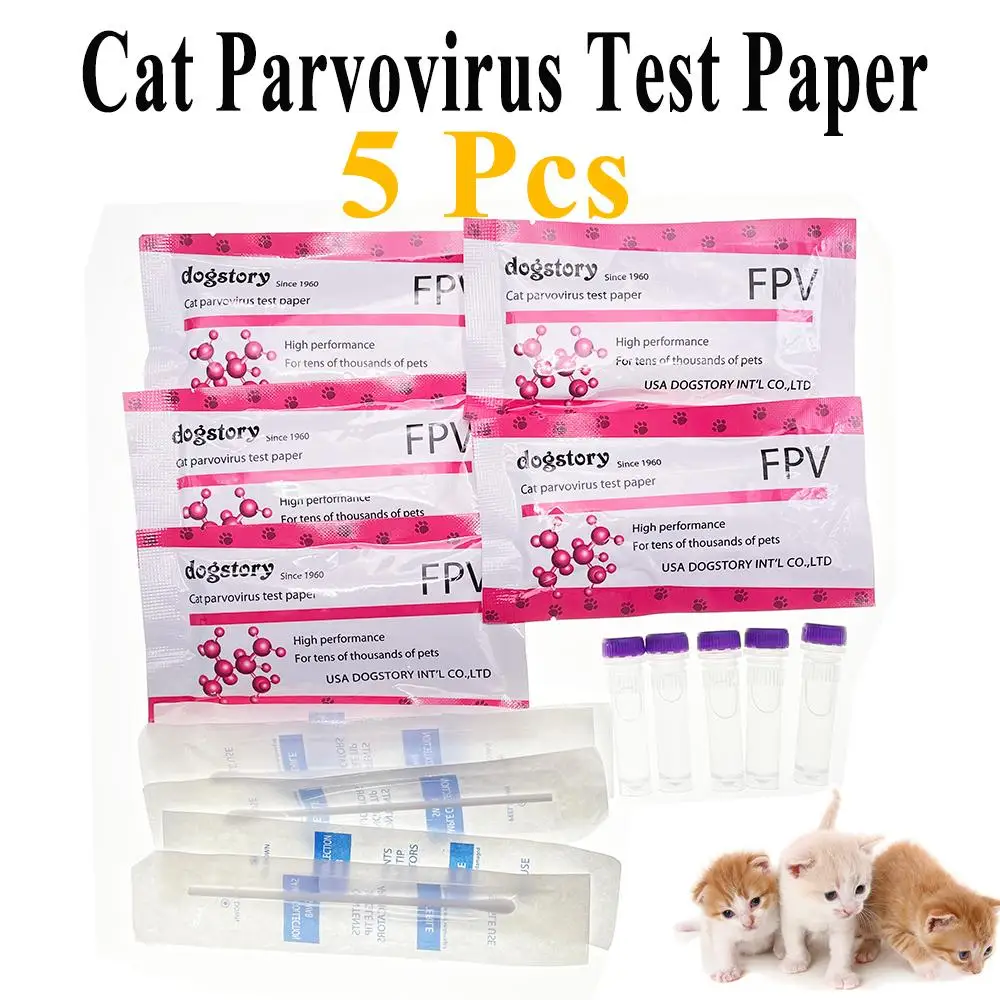 Tanio Jednorazowy FPV kot parwowirus papier testowy felino szybki dokładny