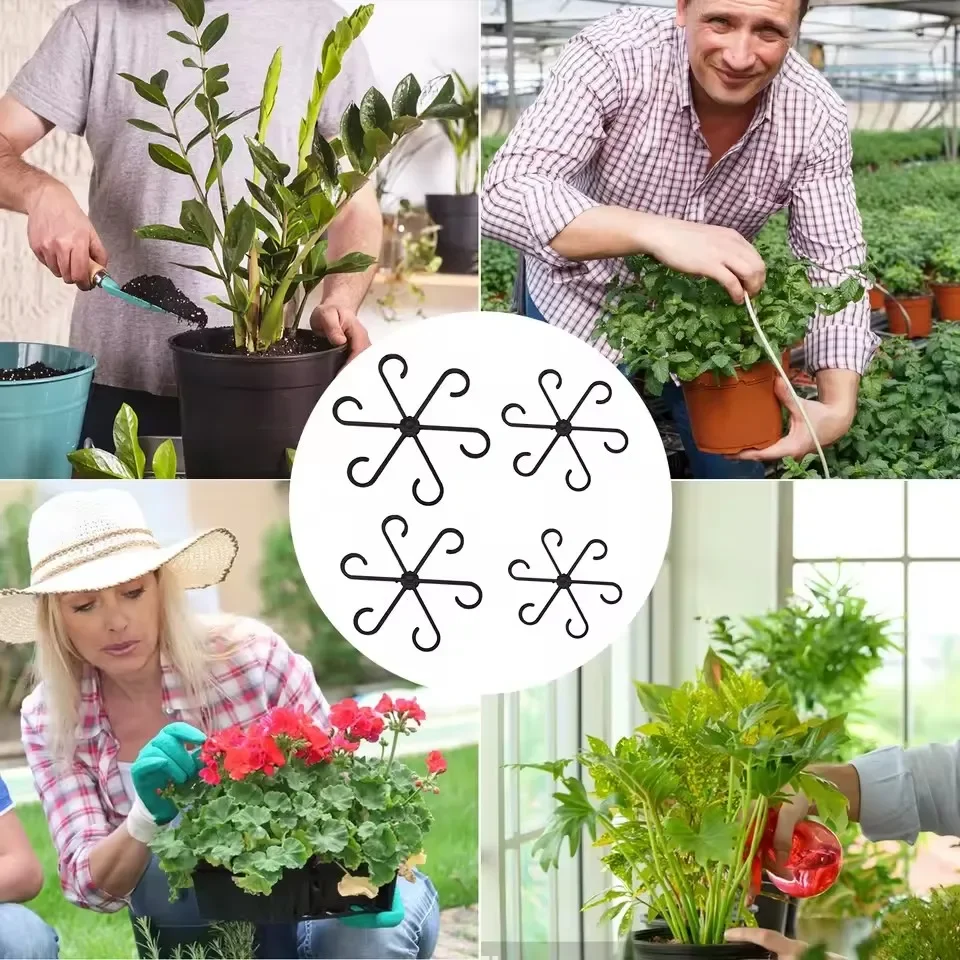 Supporti per foglie di Alocasia e Monstera, 4 pezzi - immagine 6
