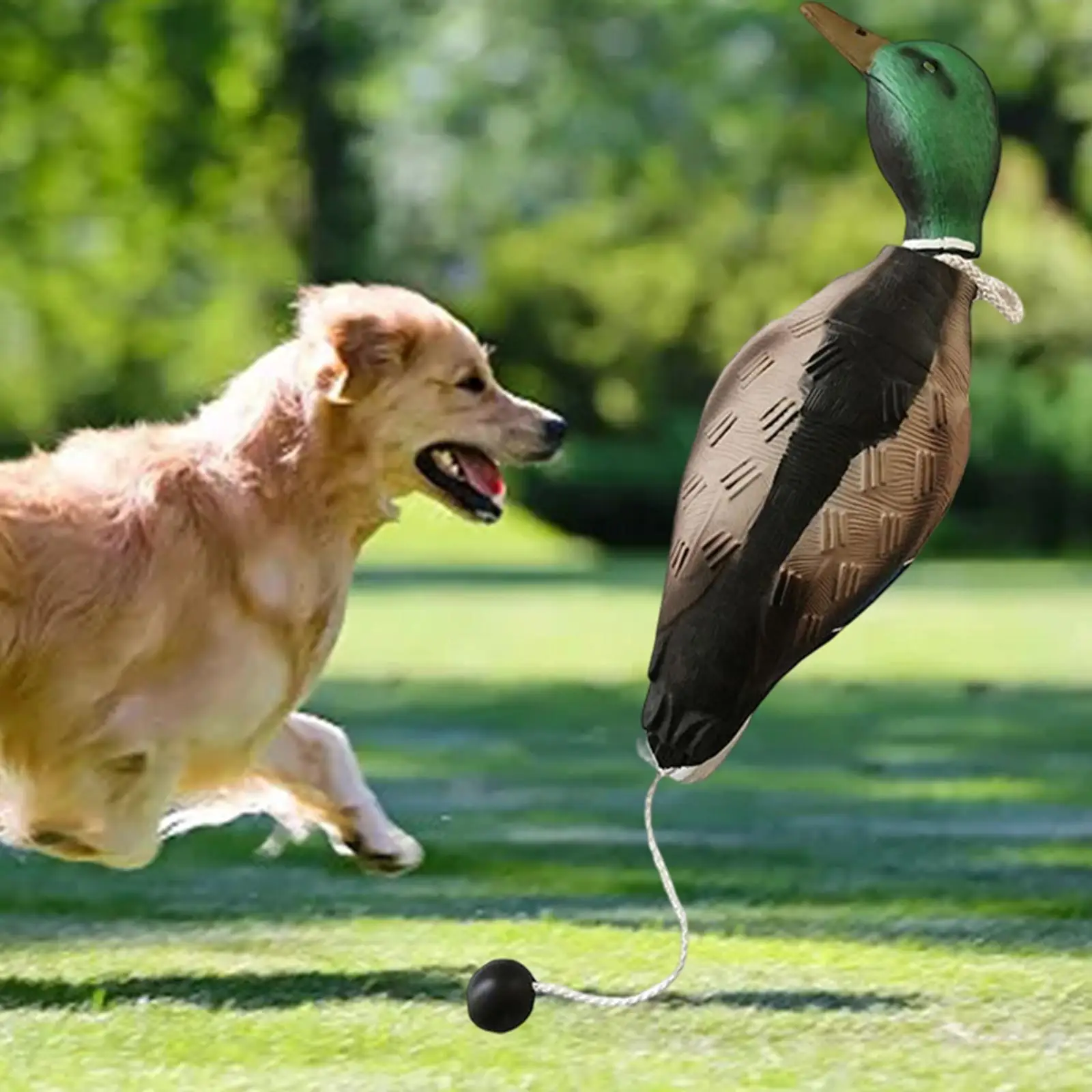 Leurre canard colvert EVA pour chasse et décoration camping - Déco étang et extérieur