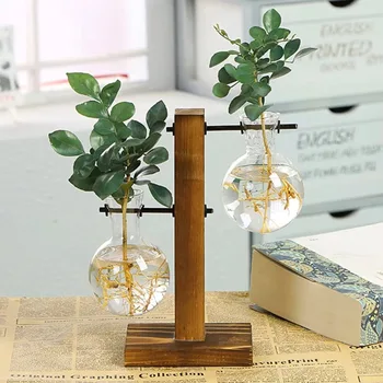 Glass Propagation Vase Set 1