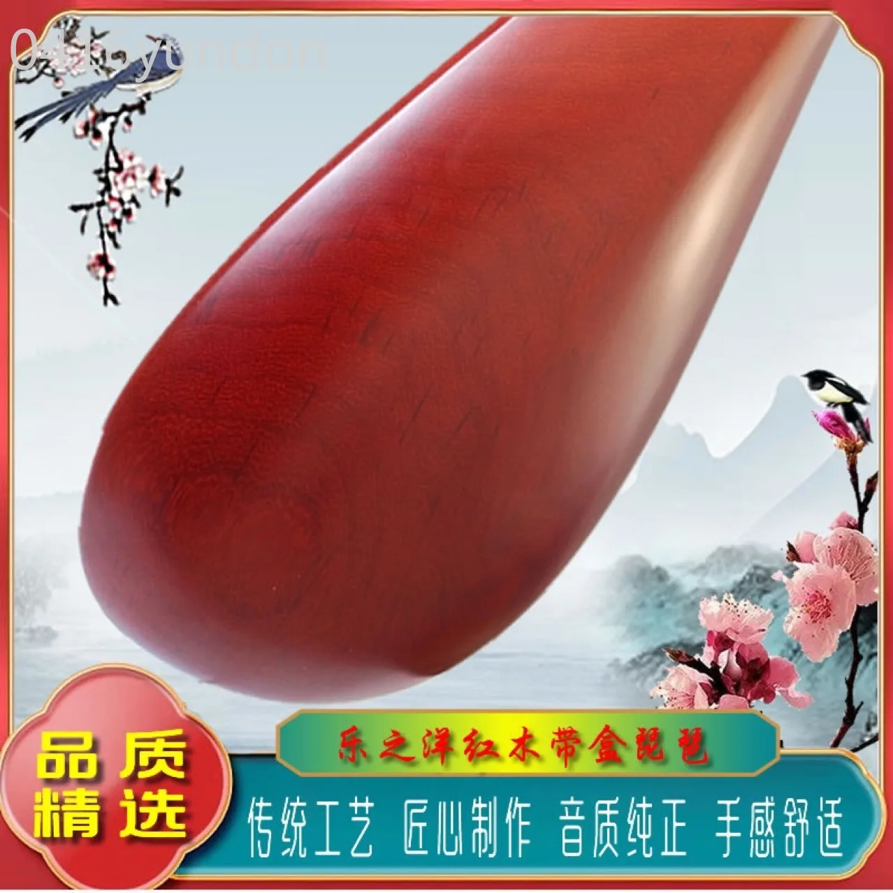 Mahogany Pipa Musical Instrument Adult Pipa Self-study Beginner Entrance Examination Major