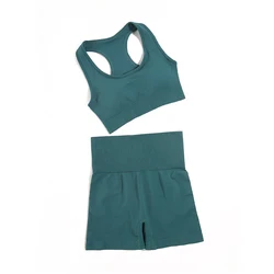 Seamless Women's Fitness Yoga Set - Sports Bra and Leggings - M(56-62KG) (BraShortsGreen)