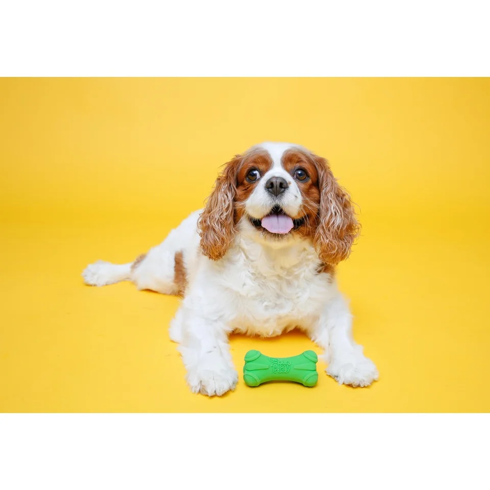 DuraPlay Flexible Durable Bacon Scented Dog Toy Pack