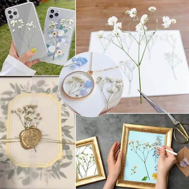 Gypsophila Essiccata - 50 Fiori Secchi Bianchi Per Resina, Candele E Decorazioni (8-10cm) - Foto 5