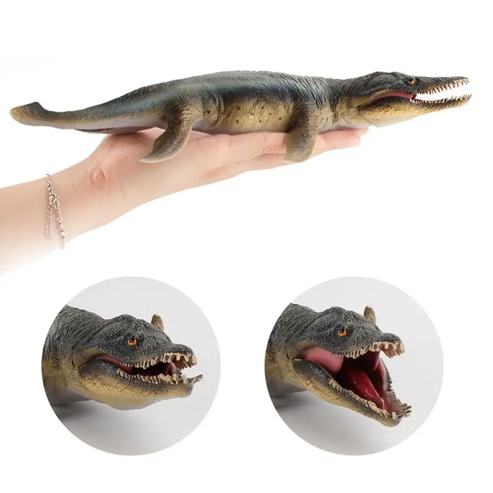 Plesiosaur Prehistoric Biological Model Kronosaurus Thalassomedon Jurassic Ancient Animal Animals Model Action Figures