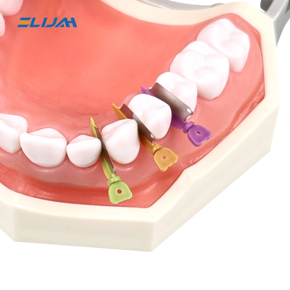 Cavigliera Ortopedica 50 Cunei Dentali Interprossimali In Metallo Medio - Protezione Lama Matrice, Autoclave 134°C Strumenti Odontoiatrici Protezione Gengive - Foto 4