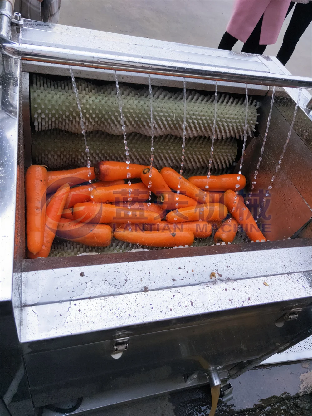 Energy saving the air bubble vegetable and fruit food washing machine leafy spring sweet potato tomato washing machine 4