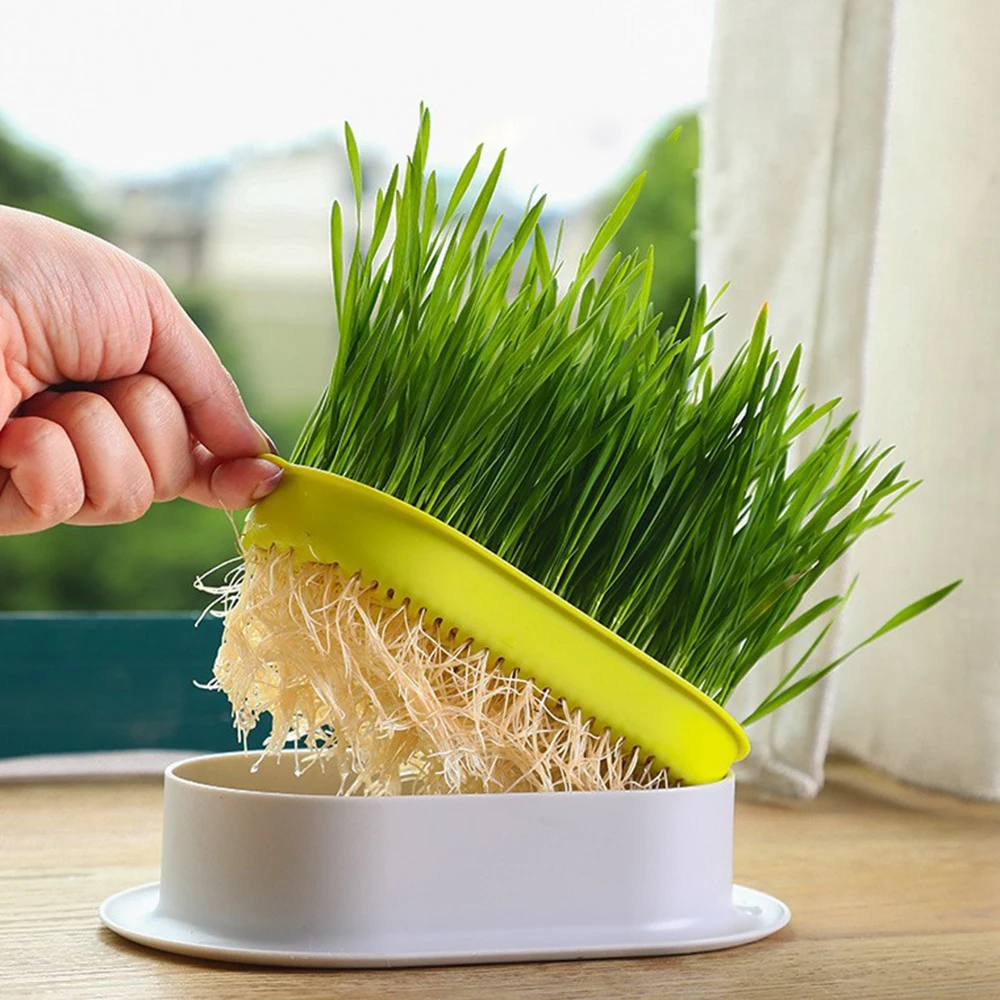Seed starter tray,seedling tray,hydroponics growing kit,hydroponic garden kit,sprout growing kit 1pc Pet Supplies Cat Treats Catnip Hydroponic Box Catgrass Bowl (Without Seeds) Soilless Wheat Grass Growing Tray