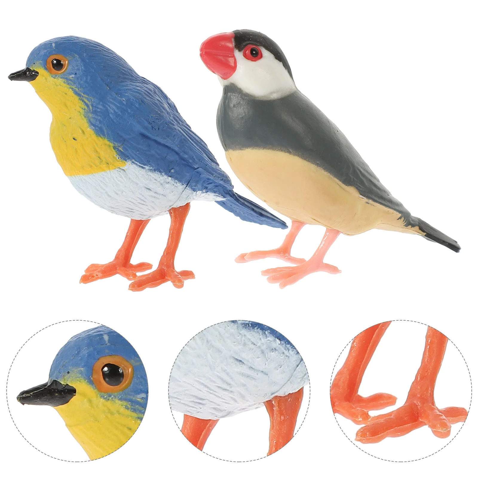 

2 Pcs Crafts for Kids Scene Bird Decor Accessory Props Home Lifelike Small Decorative Mini Statue Layout Artificial Child