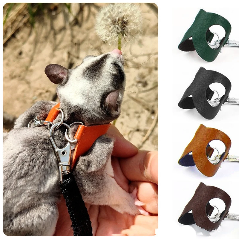 Sugar Glider Training Rope Small Animal Training Walking Rope Sugar Glider Harness And Set Pet Traction For bird training rope