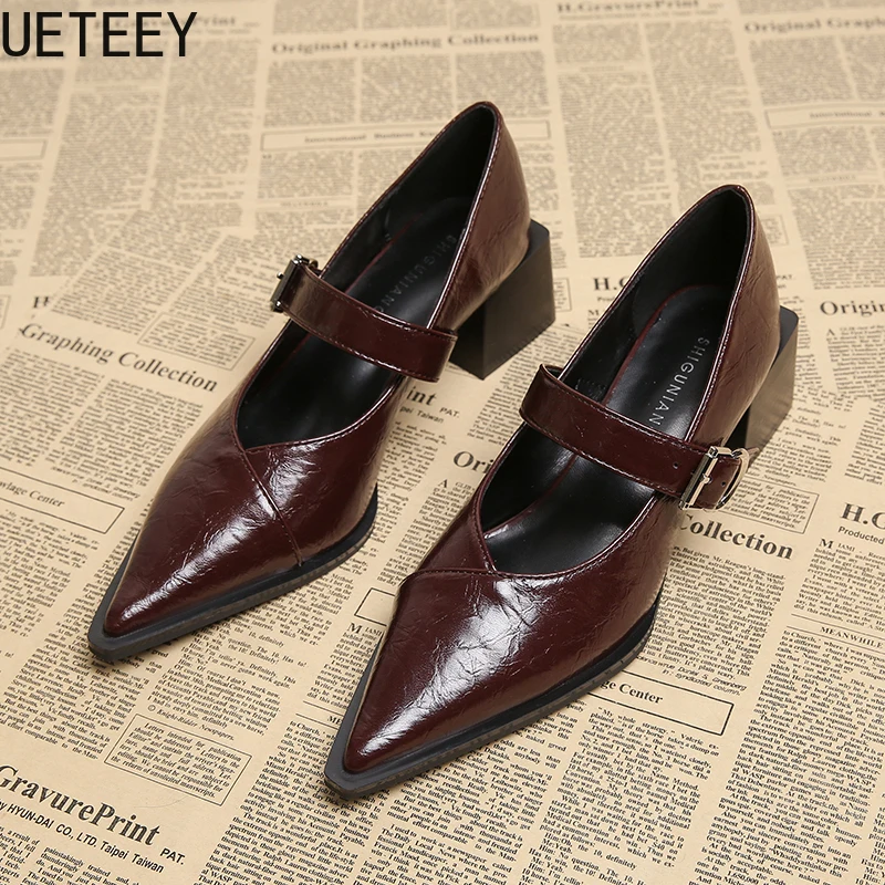 Designer Vintage Pointed Toe Women Mary Jane Shoes Fashion Shallow Buckle Shoes Spring Ladies Elegant Dress Thick Heel Shoes 2