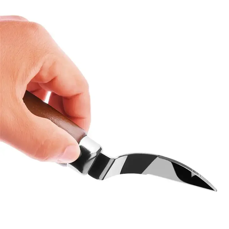 Digging Coconut Tool Stainless Steel Coconut Meat Extractor Shaving Cutter Wooden Handle Household Tools