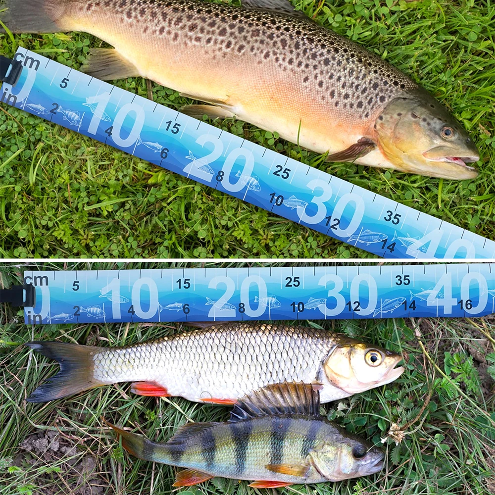 Mètre à poisson pliable 90cm étanche - Ruban mesure autocollant accessoires pêche