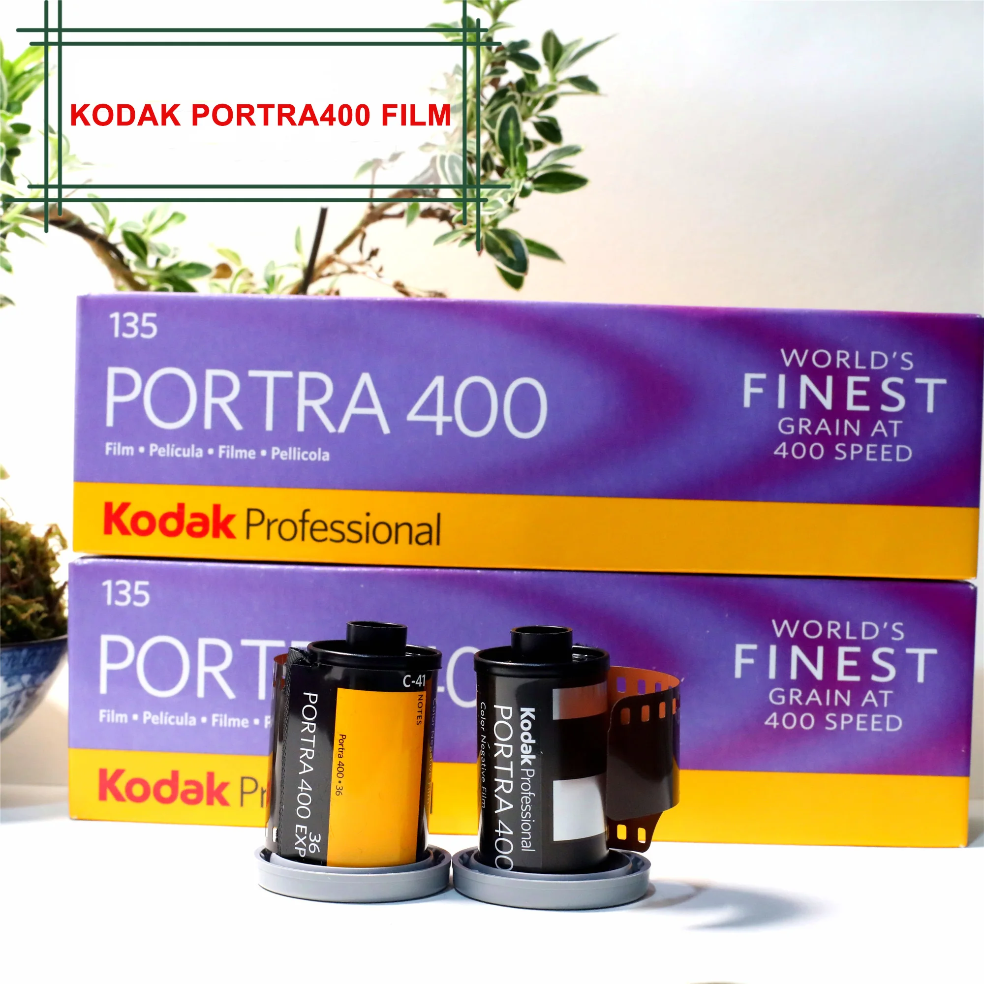 KODAK 135 Film Color Negative Film 36 Sheets Professional Portrait Shooting  35MM C-41 ISO 400 Outdoor Photography Fine Particles