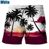 Coconut Tree Hawaiian Beach Shorts 3D Printing Summer Men's Casual Swimming Shorts High Elastic Quick Dry Swim Trunks 3