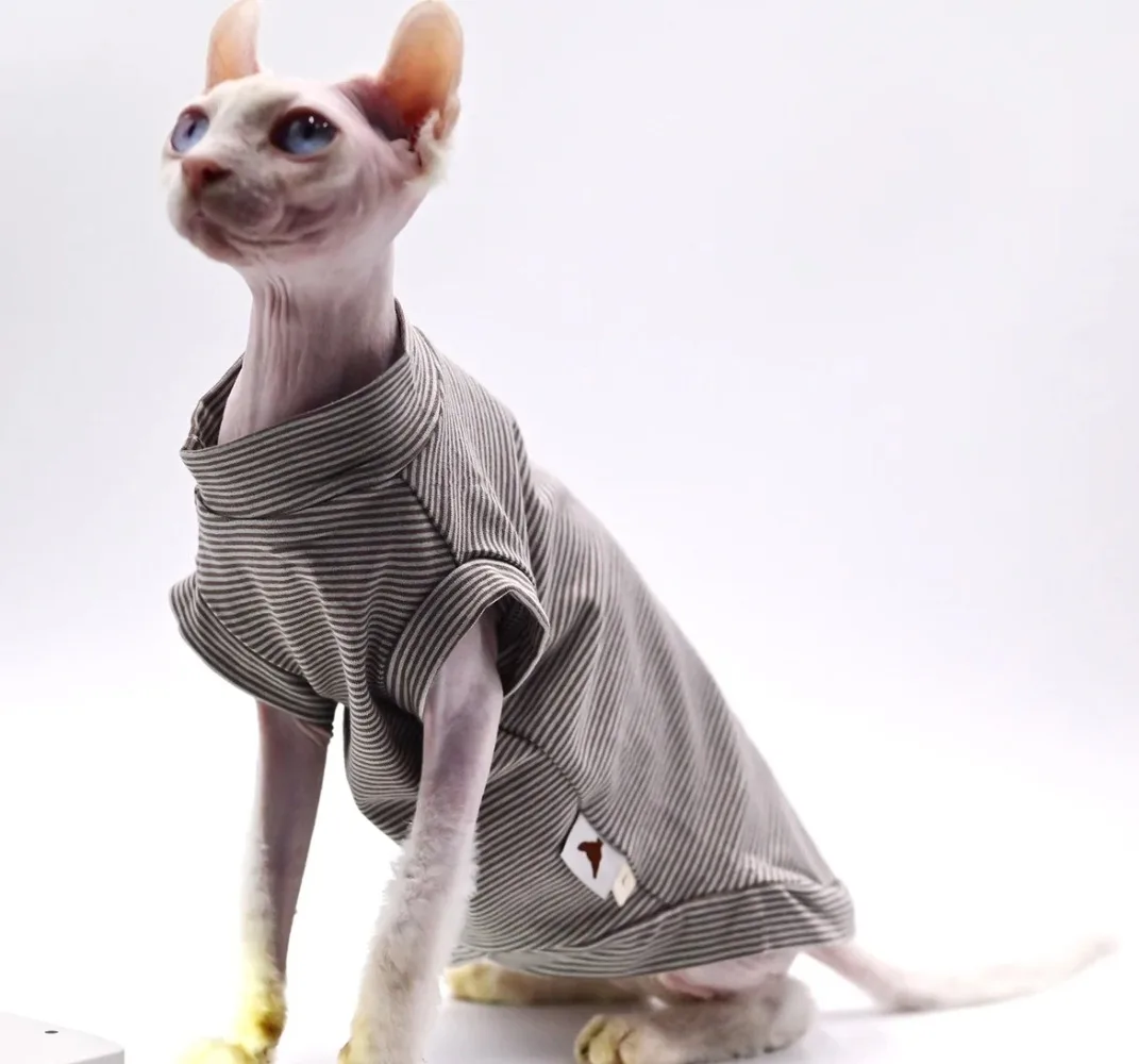 cat-vest-for-sphynx-cat-summer-clothes-for-hairless-cats-small-pets