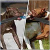 Durable Nylon Dog Training Equipment Wear Resisting Polyester Large Dog Toys Fighting Break Rod Stick Mouth Opener Pet 2