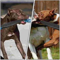 Durable Nylon Dog Training Equipment Wear Resisting Polyester Large Dog Toys Fighting Break Rod Stick Mouth Opener Pet 2