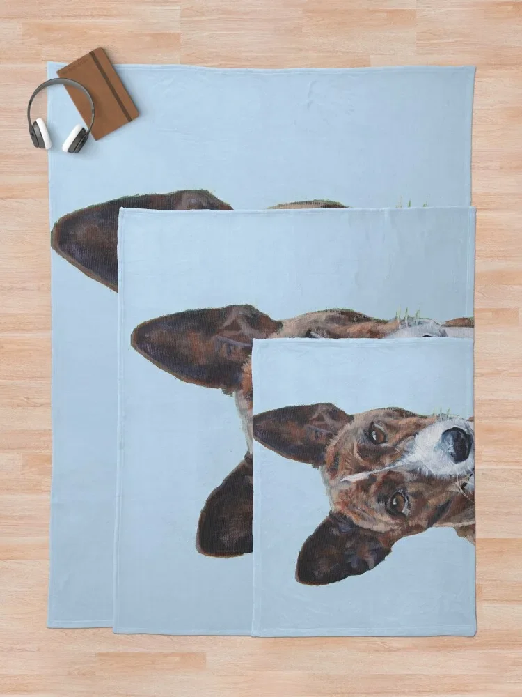 Basenji  Ʈ   ,  ħ,   ũ 