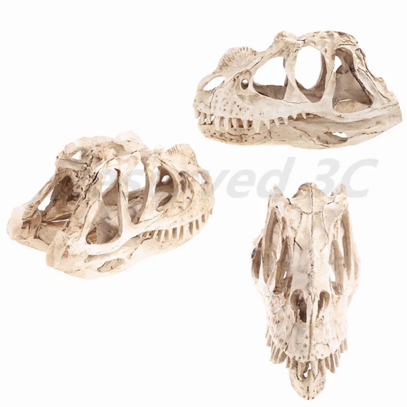 dilophosaure crâne de squelette de fossile en modèle halloween