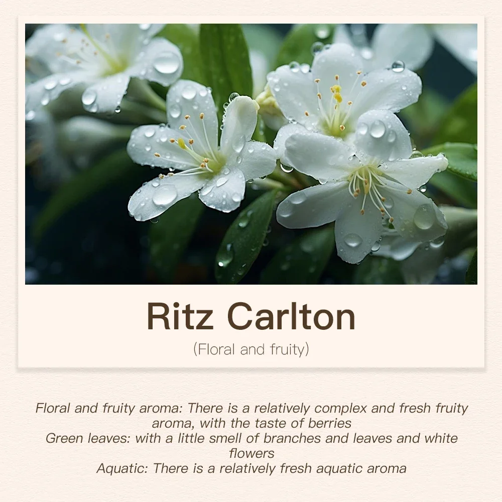 Ritz Carlton