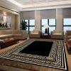 Luxury Carpet Decoration Home Black Simple Style Large Rugs Living Room Bedroom Entrance Washable Easy Cleaning Lounge Mat 2