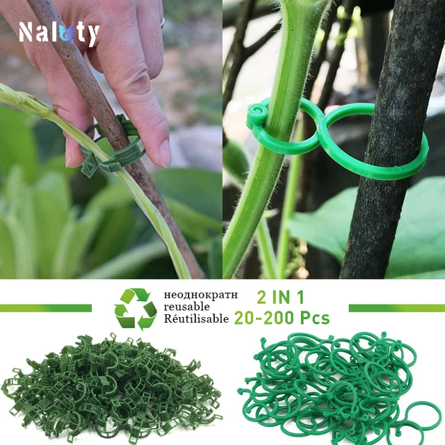 2 In1 20-200Pcs Növényi Klipek Szőlősav Újrafelhasználható Csathorog Támogatja A Szőlőcsatlakozást Zöldség Paradicsom Uborka Szőlőhöz
