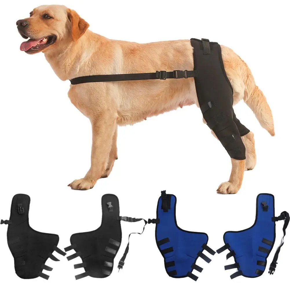 

Dog Leg Support Brace Knee Hip Joint Protect Wounds Prevent Injuries Canine Aid And Ligament Rehabilitation For Pets Accessories