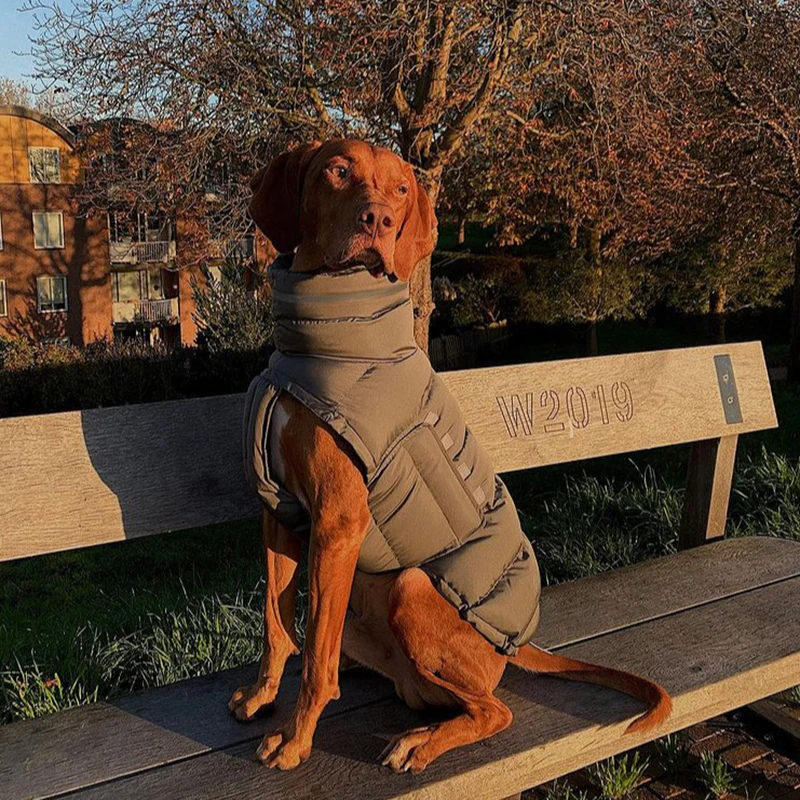 Warm Windproof/ Waterproof Dog Parkas 3