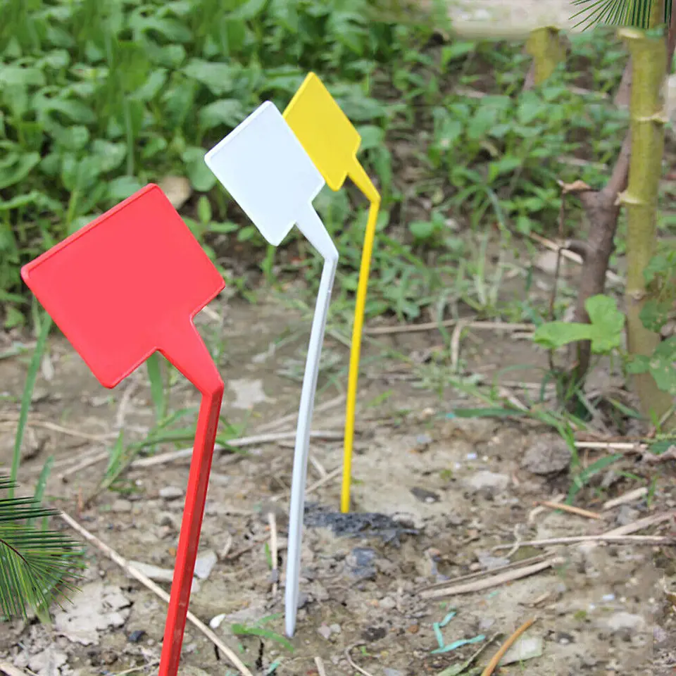 100 Etichette Per Piante In Plastica Gialle | Impermeabili, Riutilizzabili, 10x2 Cm, Per Orto, Semi, Vasi, Giardinaggio, Scrivibili Con Matita - 2