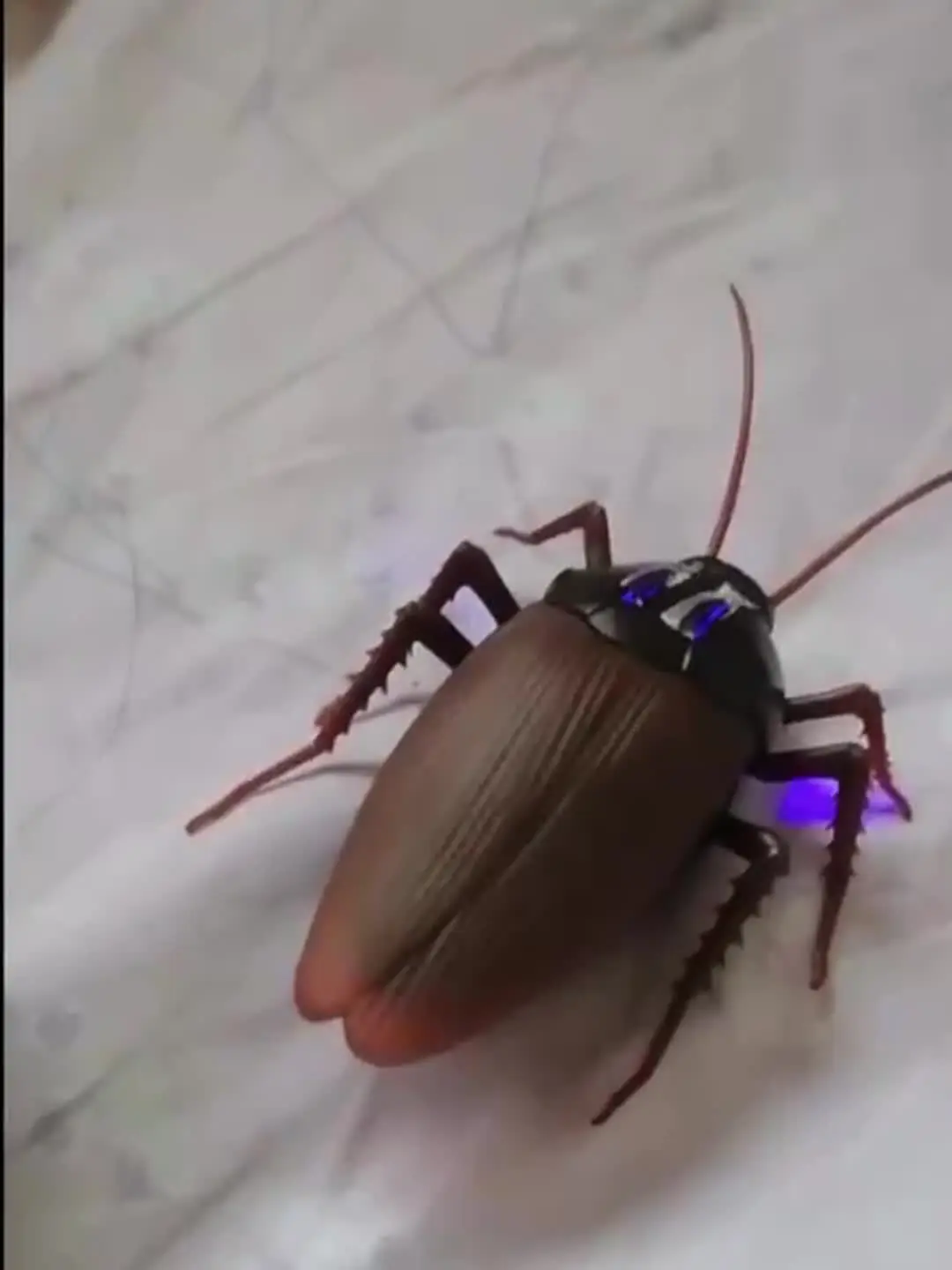 Juguete de Cucaracha Falsa con Control Remoto, Insectos Divertidos y Juguete de Cucaracha Falsa con Control Remoto, Insectos Divertidos y