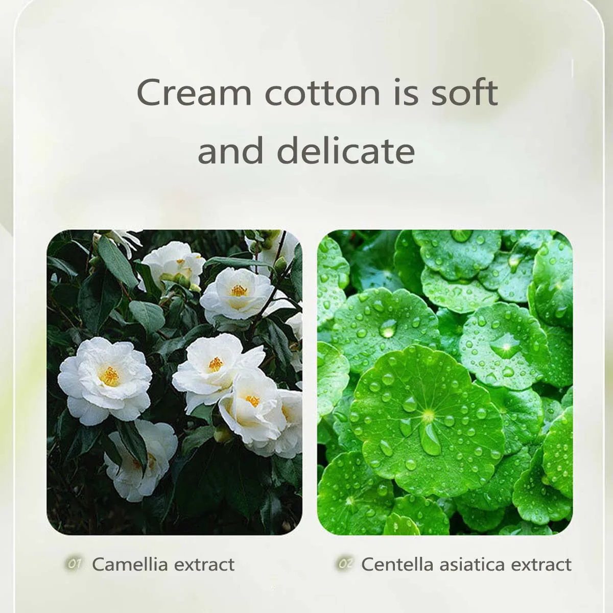 Gentle Camellia Soothing Cleanser Moisturizing, Nourishing, Oil Controlling, Refreshing And Cleansing 3