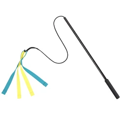 Durable Interactive Dog Flirt Pole for Outdoor Training and Play (Black)