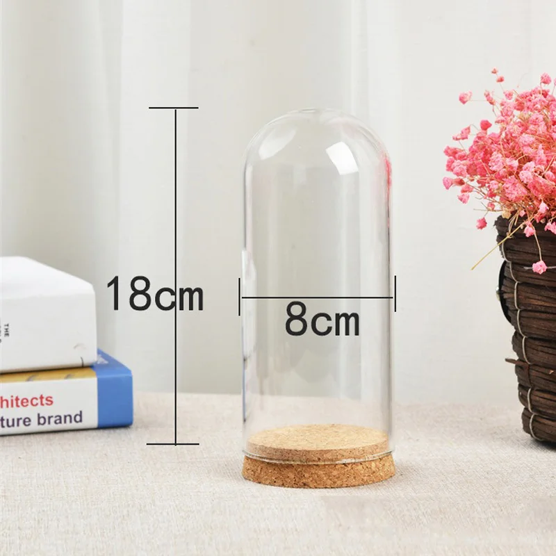 Flower Glass Cover With Wooden Base Dome Cover For Flower Succulent Plants Vase With Wood Cork Table Decor DIY