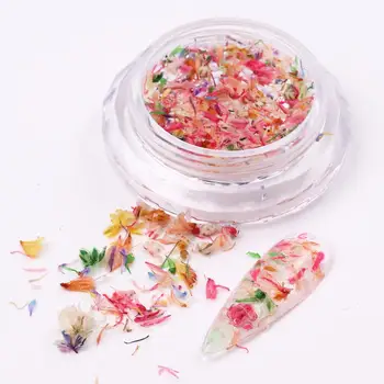 Nail Art Decorazione di fiori secchi Nail Manicure fai da te per unghie Arte Gioielli Fiore Decorazione del salone di bellezza E3C5