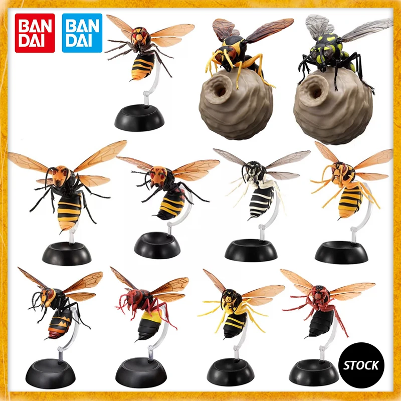 Pre-sell Bandai Japanese Gashapon Egg Big Biological Map Of Hornet ...