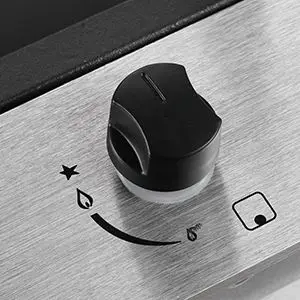 Tieasy 12 inch 2 Burner Propane Built-in with Thermocouple Protection Stainless Steel Gas Cooktop GH001-122G 5